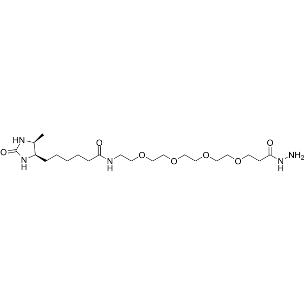 Hydrazide-PEG4-Desthiobiotin图片