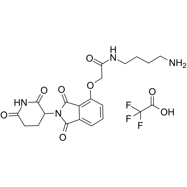 Thalidomide-O-amido-C4-NH2 TFA图片