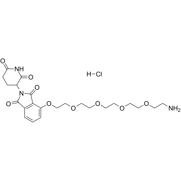 Thalidomide-O-PEG4-amine hydrochloride图片