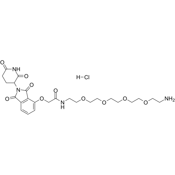 Thalidomide-O-amido-PEG4-C2-NH2 hydrochloride图片