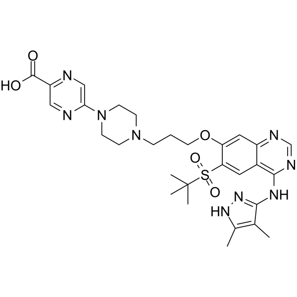 cIAP1 Ligand-Linker Conjugates 16图片