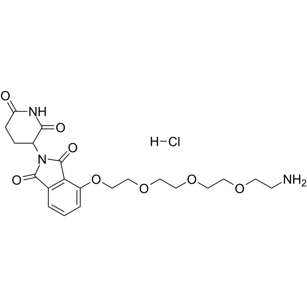 Thalidomide-PEG4-NH2 hydrochloride图片