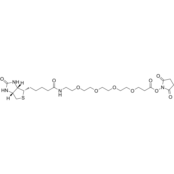 Biotin-PEG4-NHS ester图片