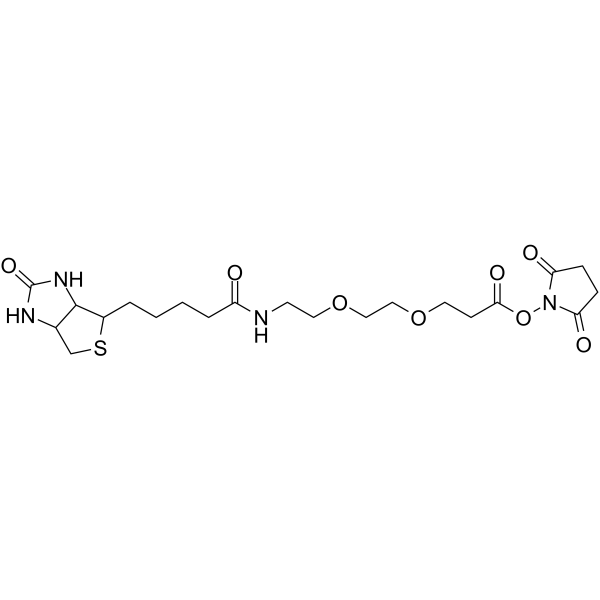 Biotin-PEG2-NHS ester图片