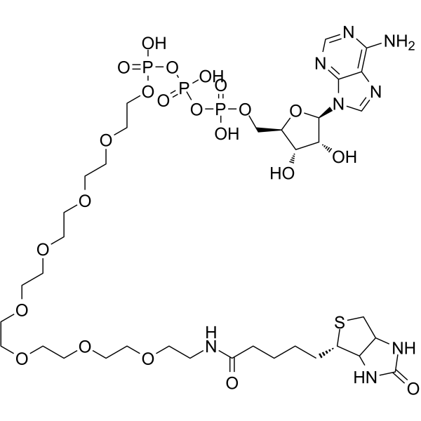 ATP-PEG8-Biotin图片