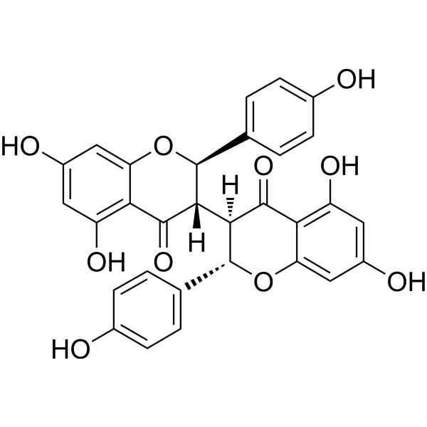 Isochamaejasmin图片