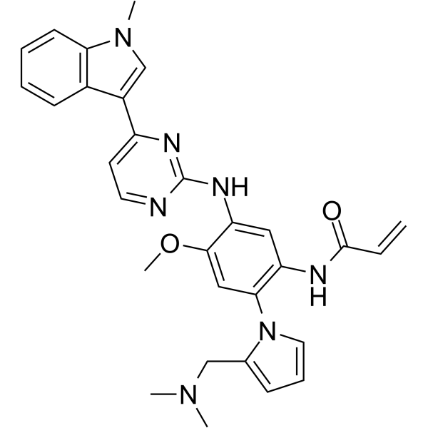 EGFR kinase inhibitor 1图片