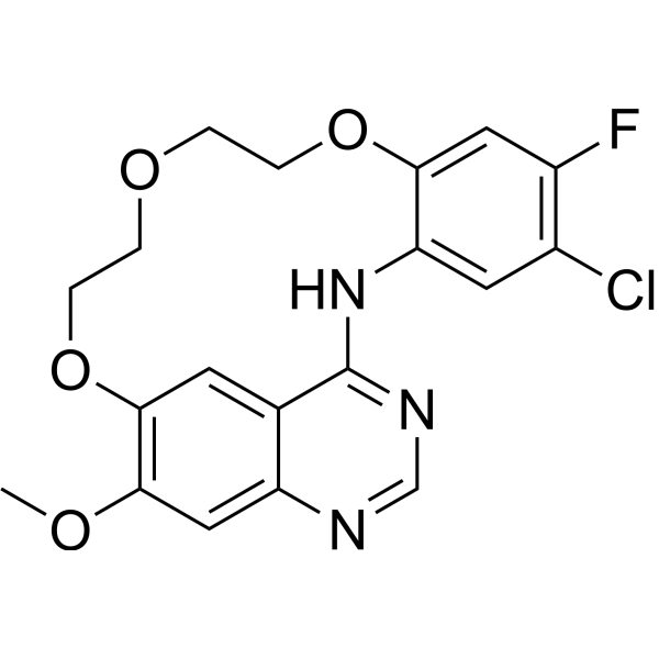 EGFR-IN-73图片