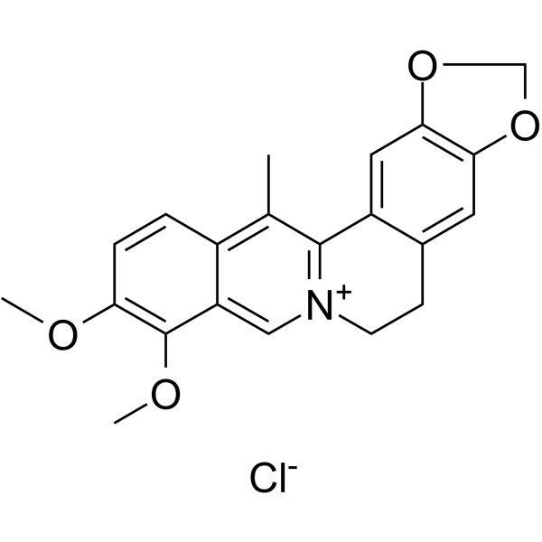 13-Methylberberine chloride图片