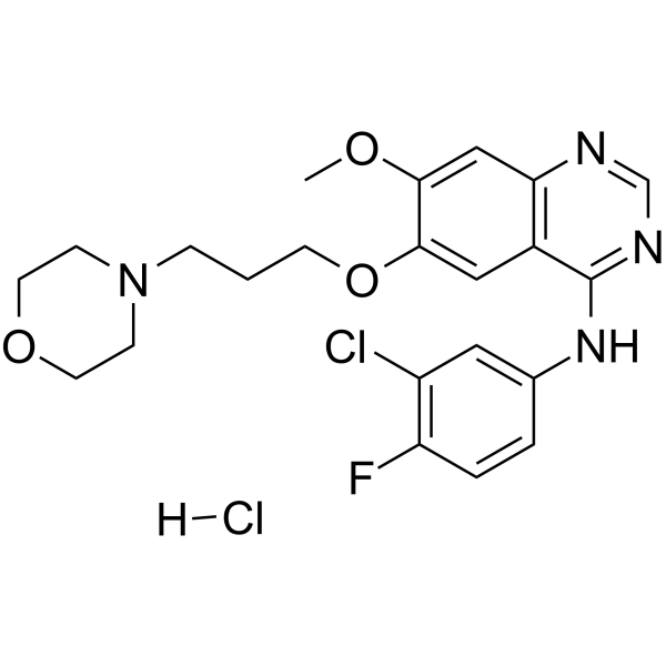 Gefitinib hydrochloride图片