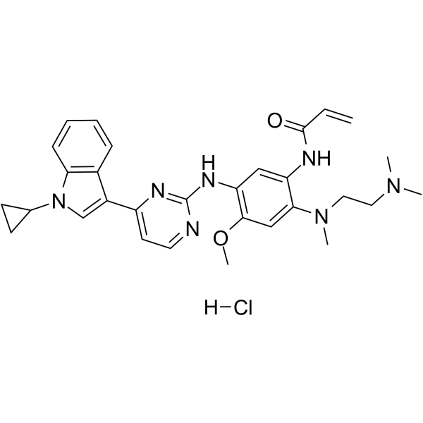 Almonertinib hydrochloride图片