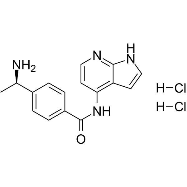 Y-33075 dihydrochloride图片