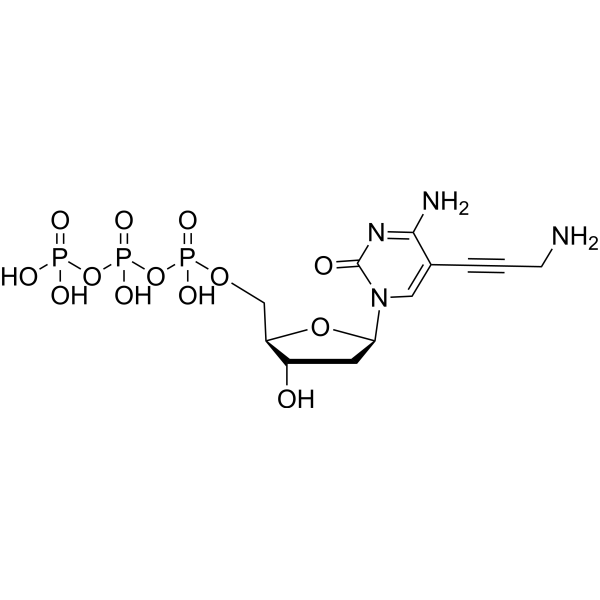 5-Propargylamino-dCTP图片