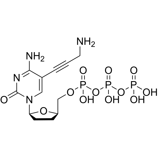 5-Propargylamino-ddCTP图片