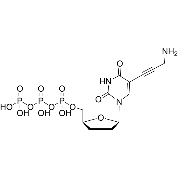 5-Propargylamino-ddUTP图片