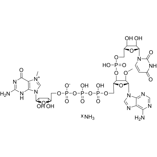 Uracil-m7GpppAmpG ammonium图片