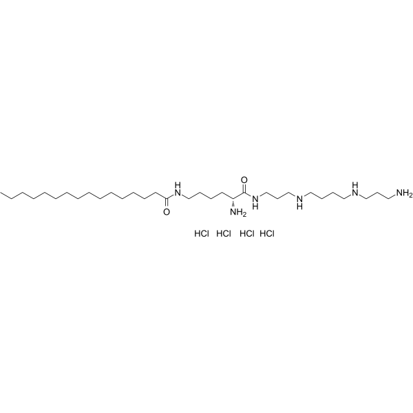 AMXT-1501 tetrahydrochloride图片