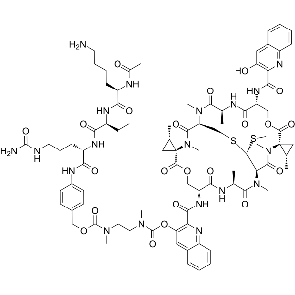 AcLysValCit-PABC-DMAE-SW-163D图片