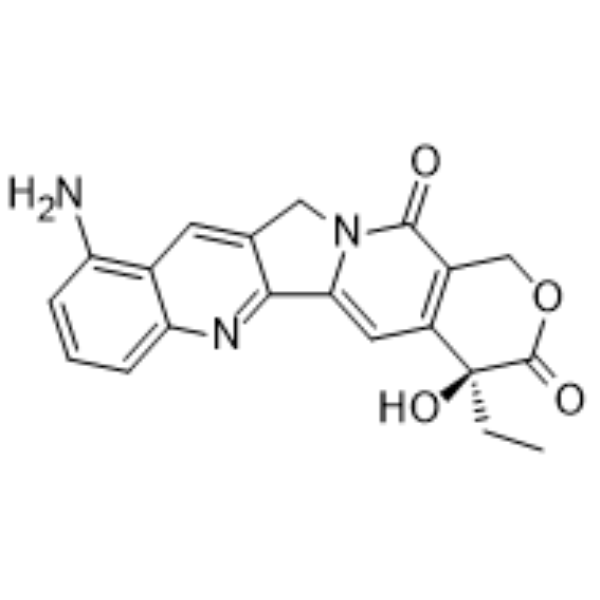 9-amino-CPT图片
