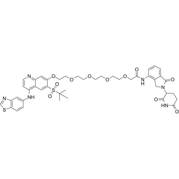 PROTAC RIPK degrader-6图片
