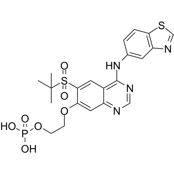 GSK2983559 free acid图片