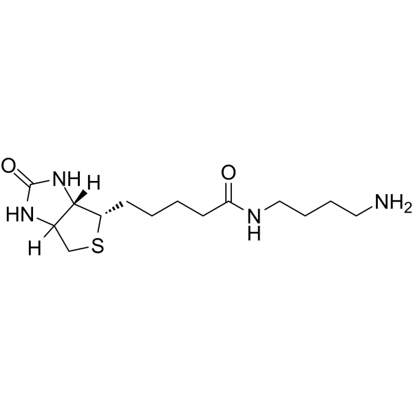 Biotin-C4-amide-C5-NH2图片