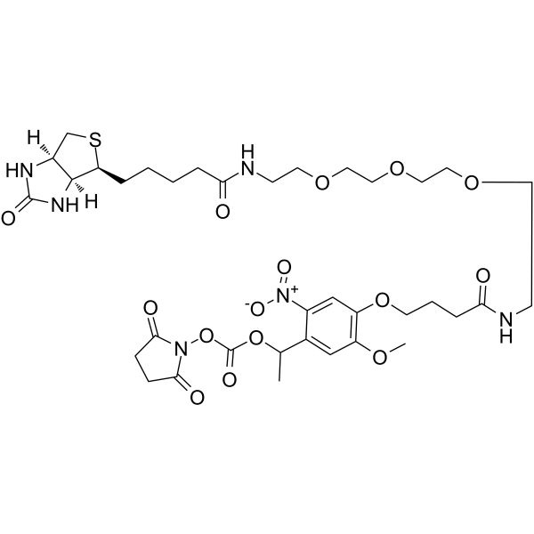 PC Biotin-PEG3-NHS ester图片