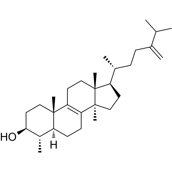 Obtusifoliol图片
