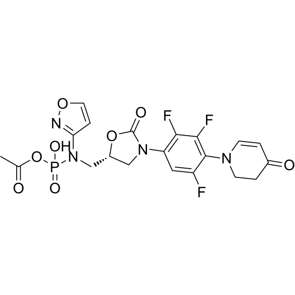 Contezolid acefosamil图片