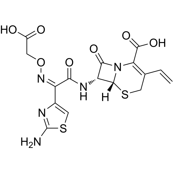 Cefixime图片
