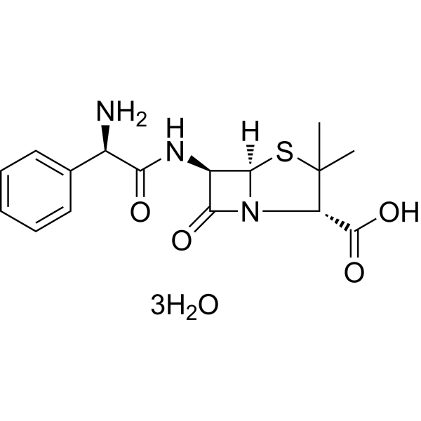 Ampicillin trihydrate图片
