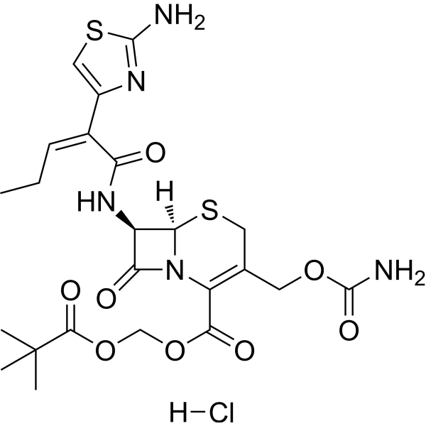 Cefcapene pivoxil hydrochloride图片