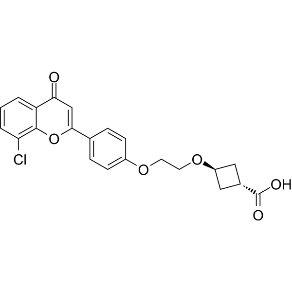 trans-ccc_R08图片