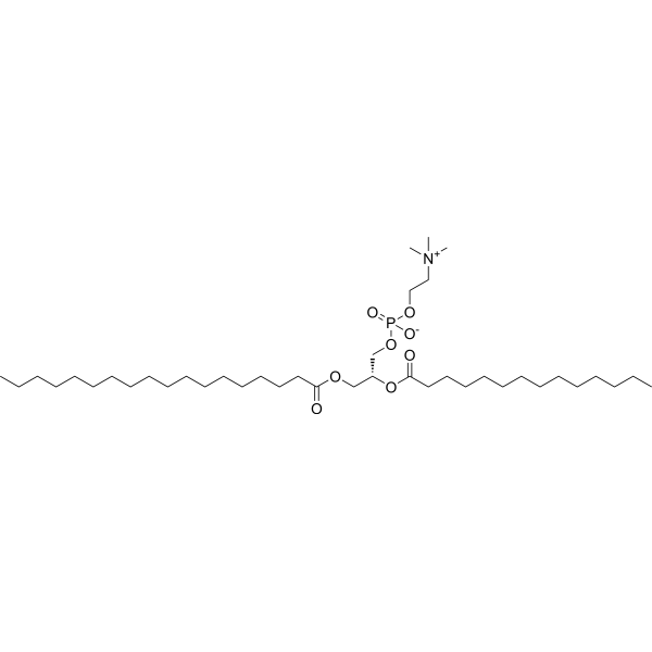 1-Stearoyl-2-myristoyl-sn-glycero-3-PC图片
