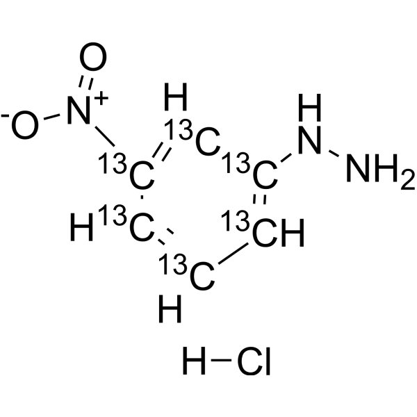 3-Nitrophenylhydrazine-13C6 hydrochloride图片