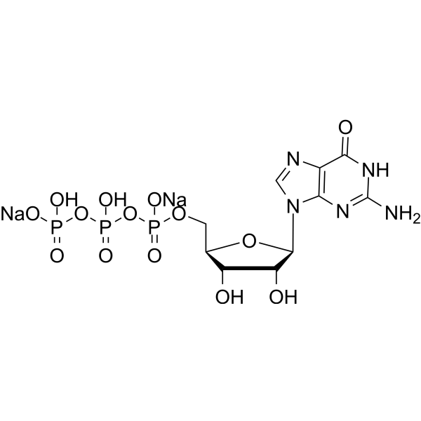 Guanosine-5'-triphosphate disodium salt图片