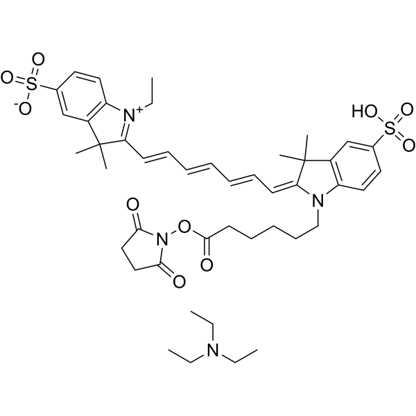 CY7-SE triethylamine图片