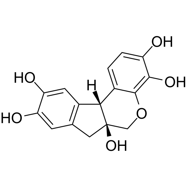 Hematoxylin图片