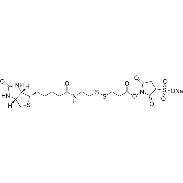 Sulfo-NHS-SS-Biotin sodium图片