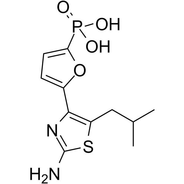 MB05032图片