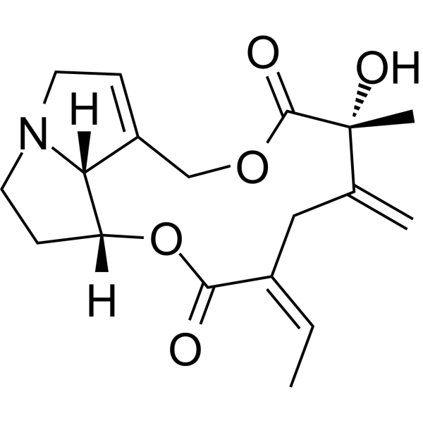 Seneciphylline图片