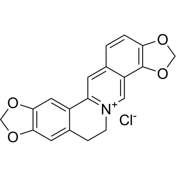 Coptisine chloride图片