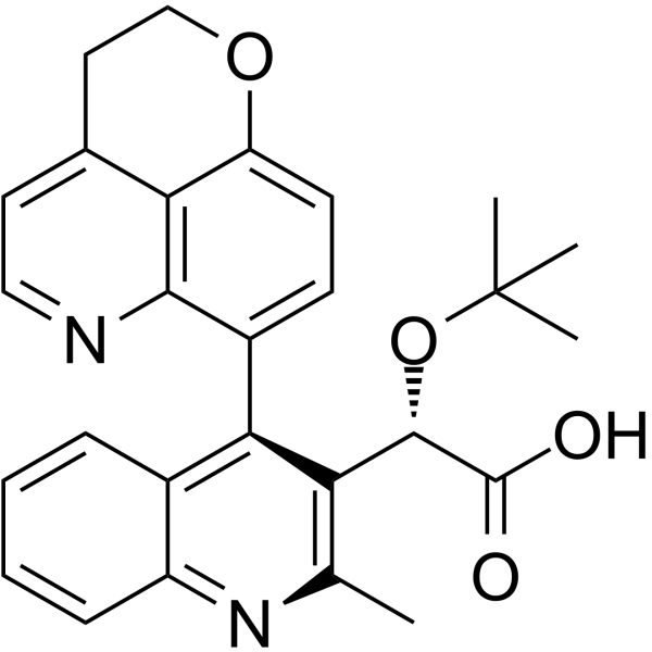 BI 224436图片