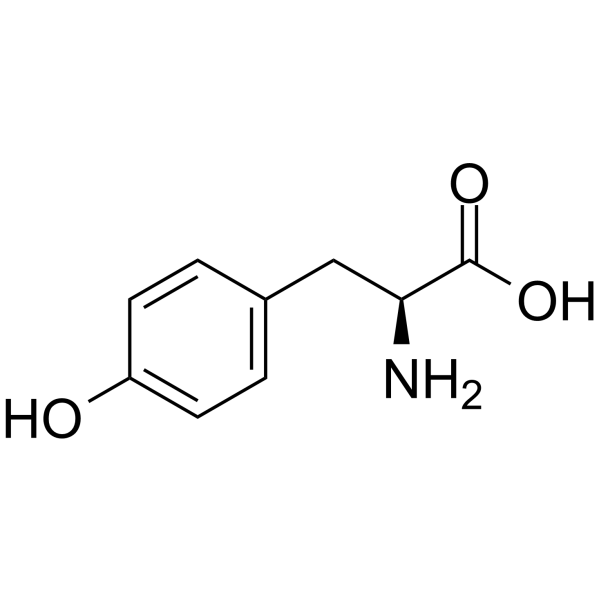 L-Tyrosine图片