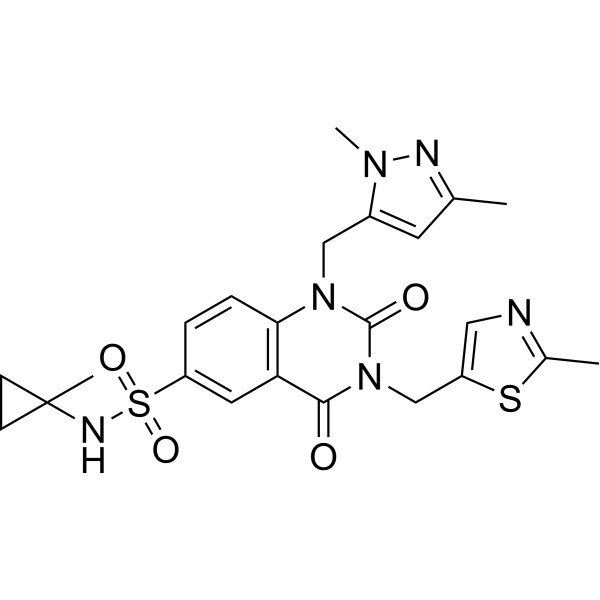 PDD 00017273图片