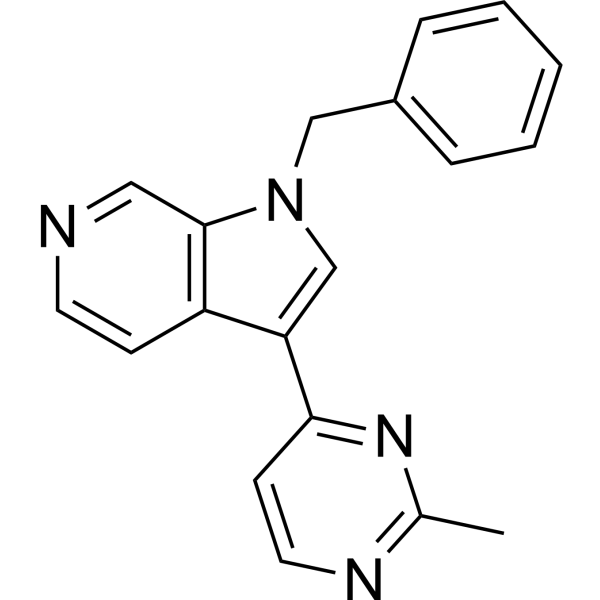 AZ-Dyrk1B-33图片