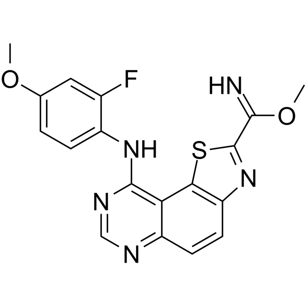 EHT 1610图片