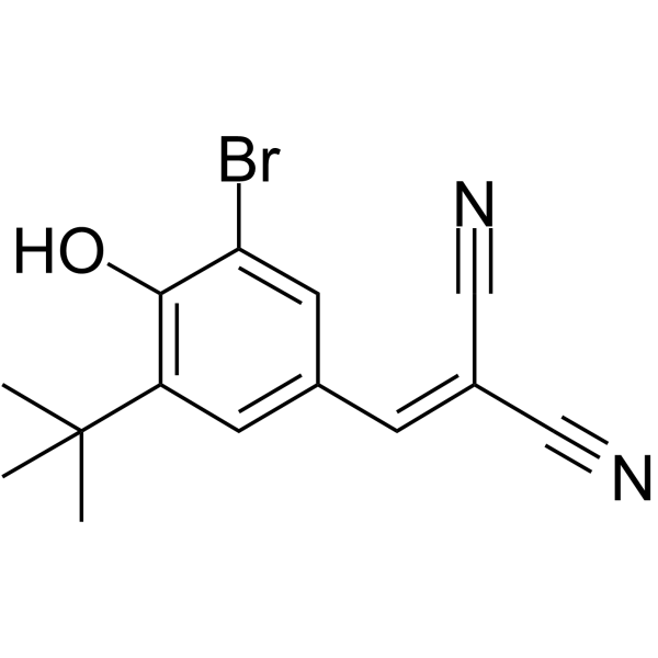 AG1024图片