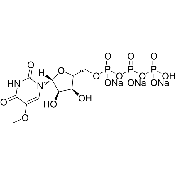 5-Methoxyuridine 5'-triphosphate trisodiumͼƬ