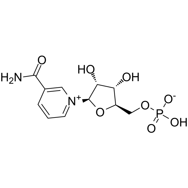 β-Nicotinamide mononucleotide图片